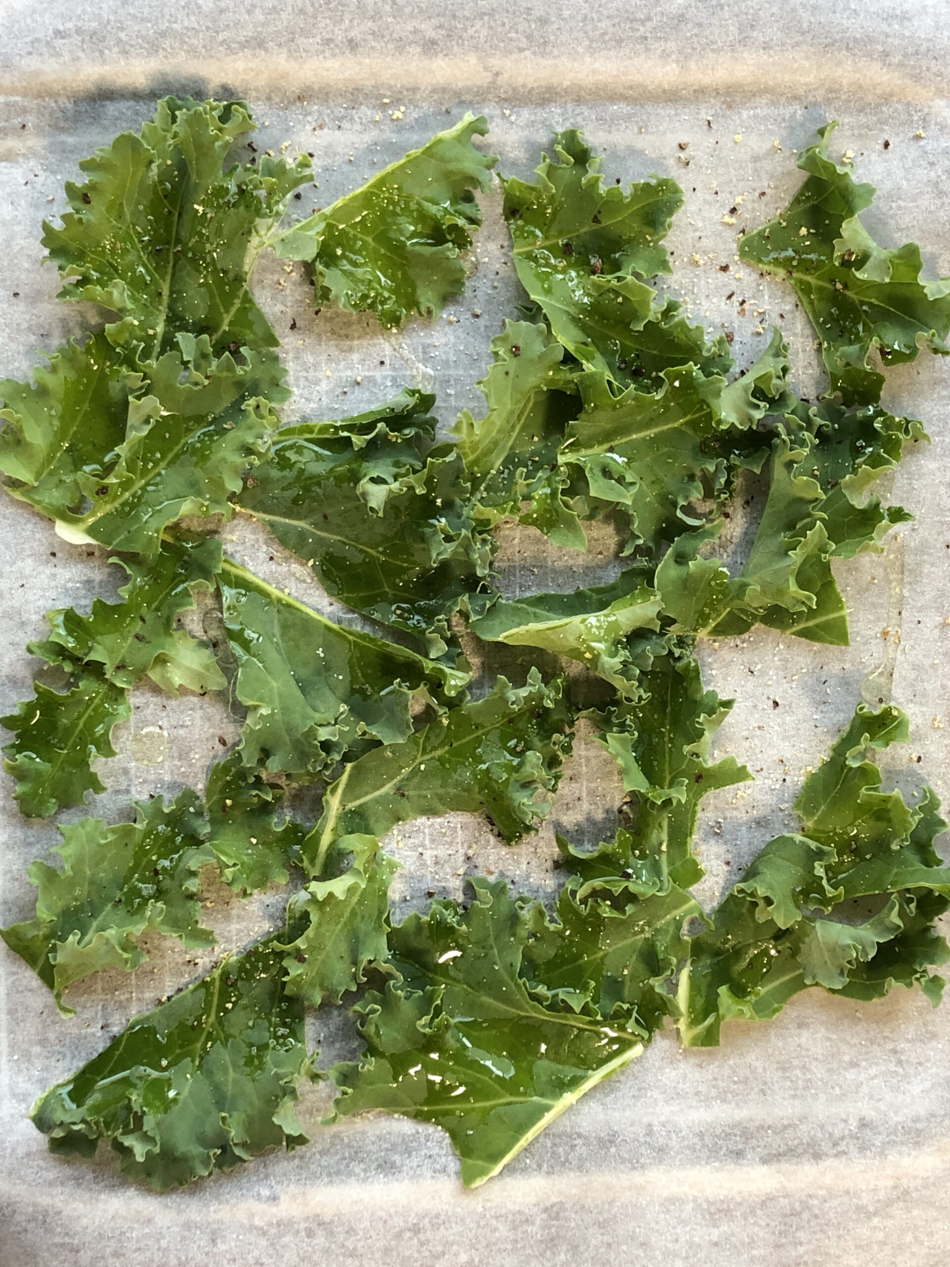 例のケールを焼いてみた。 ようでん